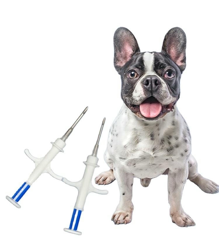 Dog photo beside two microchip implant syringes illustrating veterinary RFID pet identification and recovery use.