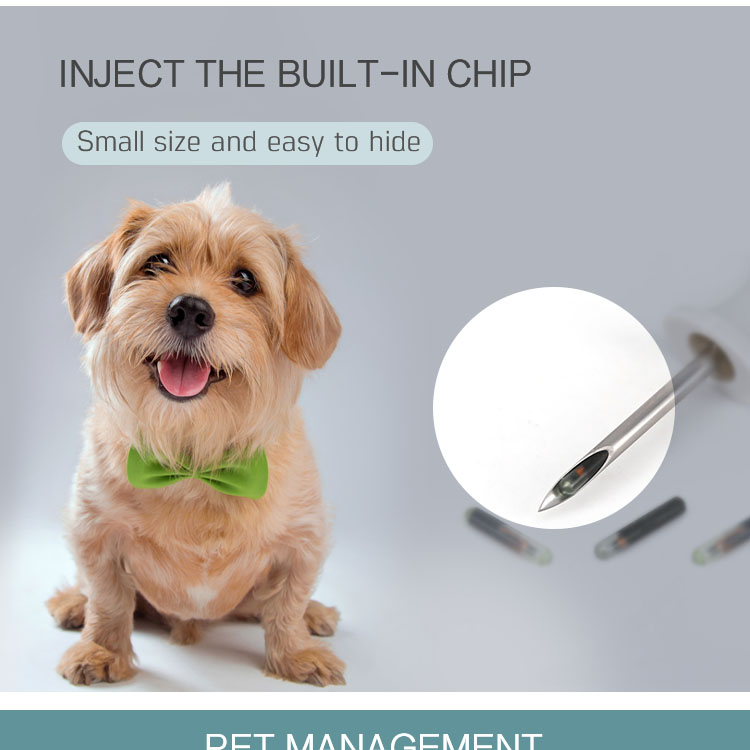 Imagine de marketing cu un câine mic și un prim-plan cu ac care evidențiază microcipul animalului injectabil RFID pentru o identificare discretă.