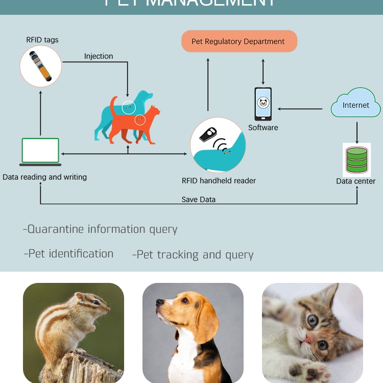Diagramă care ilustrează înregistrarea microcipului pentru animale de companie cu software-ul de citire portabil de internet și bază de date pentru gestionarea etichetelor RFID.