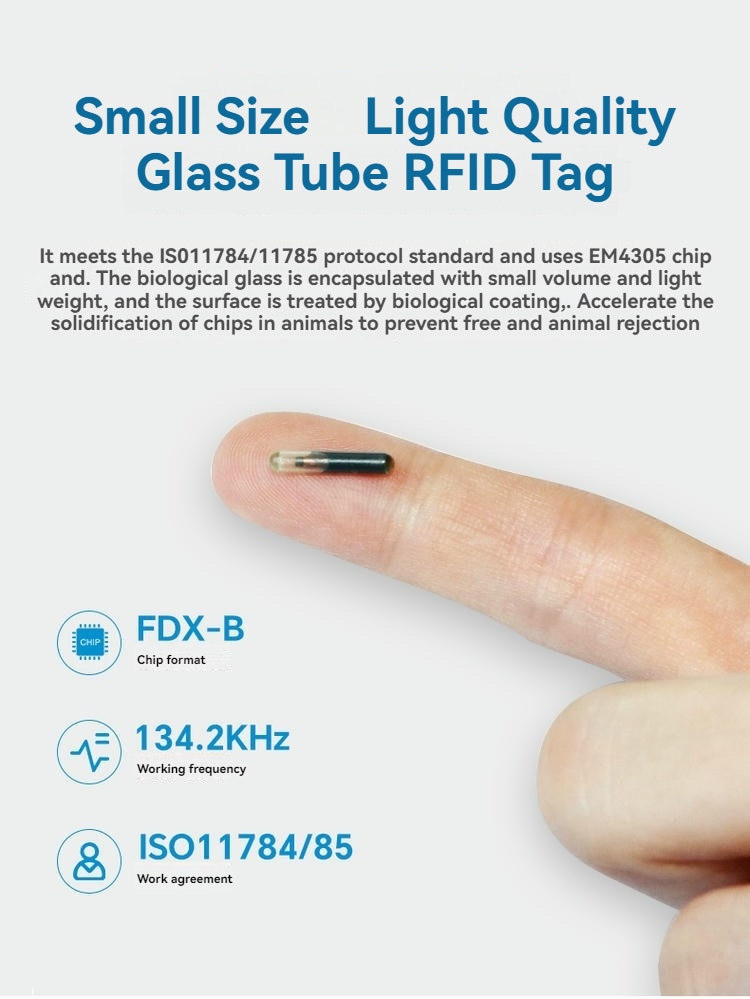 Fotografia de aproape evidențiază dimensiunea redusă a microcipului RFID în tub de sticlă și menționează stratul bioglass pentru implantare stabilă.