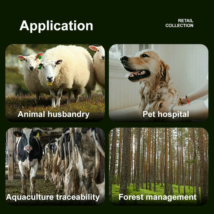 Imaginea prezintă scene de utilizare pentru cititorul RFID LF W91A pentru animale, inclusiv ferme zootehnice, clinici veterinare și urmărire.