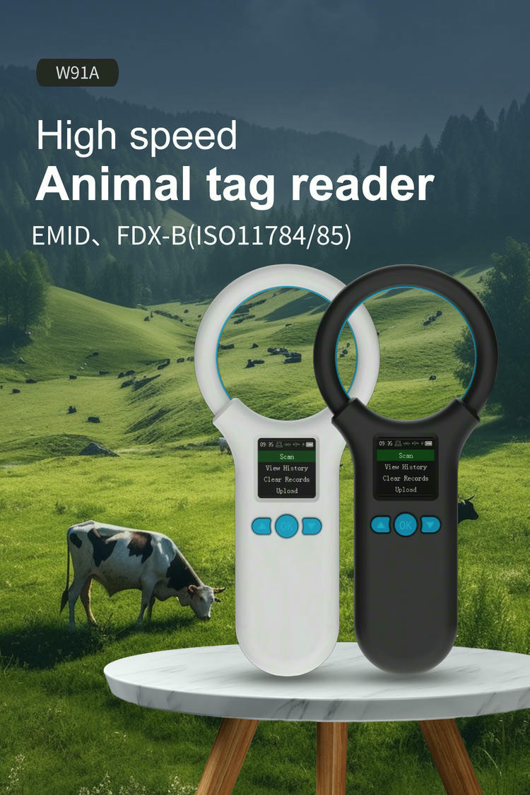 Imaginea prezintă posterul cititorului rapid W91A pentru etichete de animale, cu ambele variante de culoare pentru identificarea animalelor.