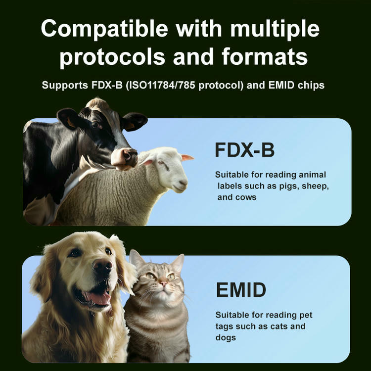 Imaginea prezintă informații de compatibilitate W91A pentru protocolul FDX-B și cipurile EMID, cu exemple de citire a etichetelor auriculare pentru animale.