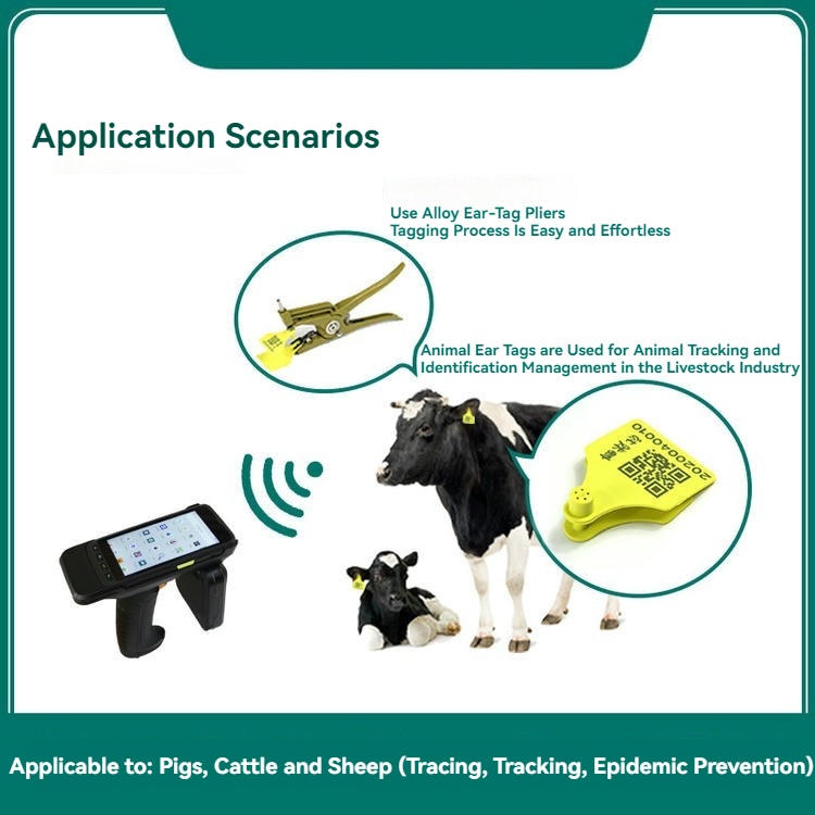 Eticheta RFID UHF E006 permite integrarea cu sisteme automate de hrănire și porți de sortare a animalelor pentru ferme eficiente