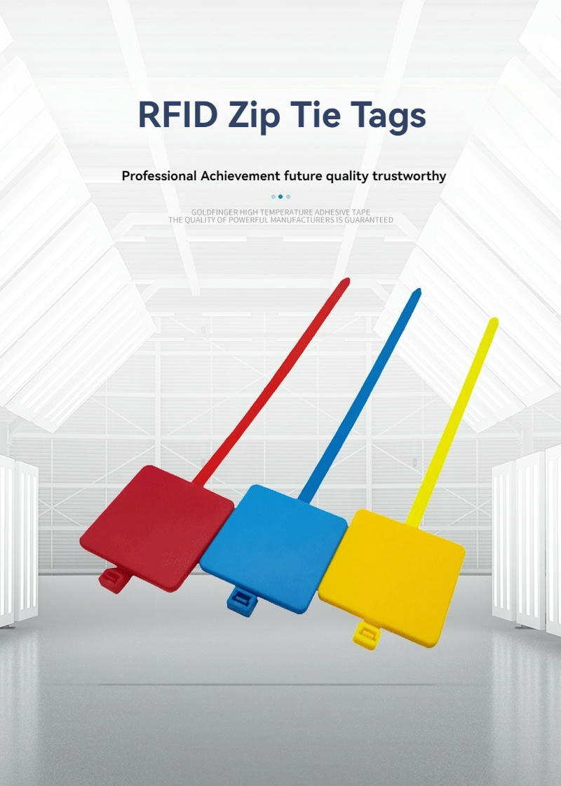 Etichete RFID cu colier pentru securitate și controlul inventarului, prezentate pentru utilizare industrială în proiecte tag RFID tip colier de cablus.